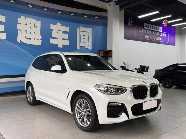 BMW BMW X3 xDrive25i M sports suit country VI