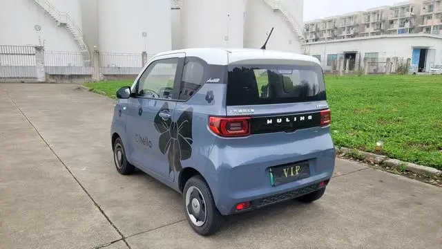 Wuling Wuling Hongguang MINIEV Macaron Premium Lithium Iron Phosphate