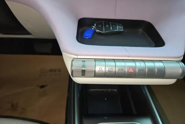 BYD dolphin Fashion edition