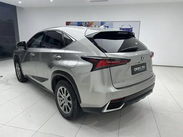 Lexus Lexus NX 300h front drive Fengshang version Country V