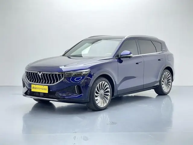 VOYAH Lan Tu FREE Four-wheel drive standard range extension exclusive luxury set