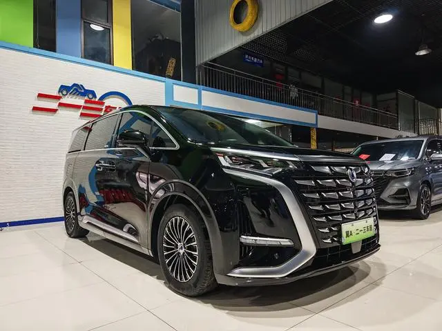 Denza Denza D9 DM 980 four-wheel drive premium type