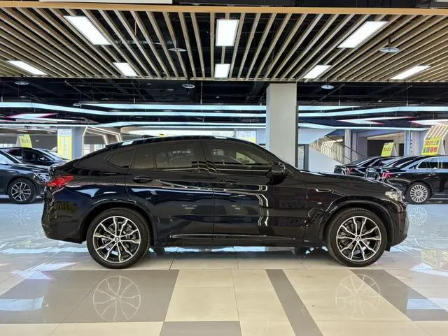 BMW BMW X4 xDrive 30i M sports suit