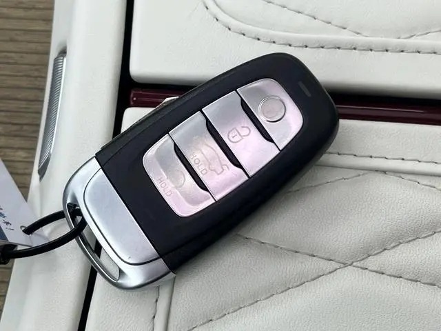 Hongqi Hongqi E-HS9 Facelift 660km flag collar version four-seater