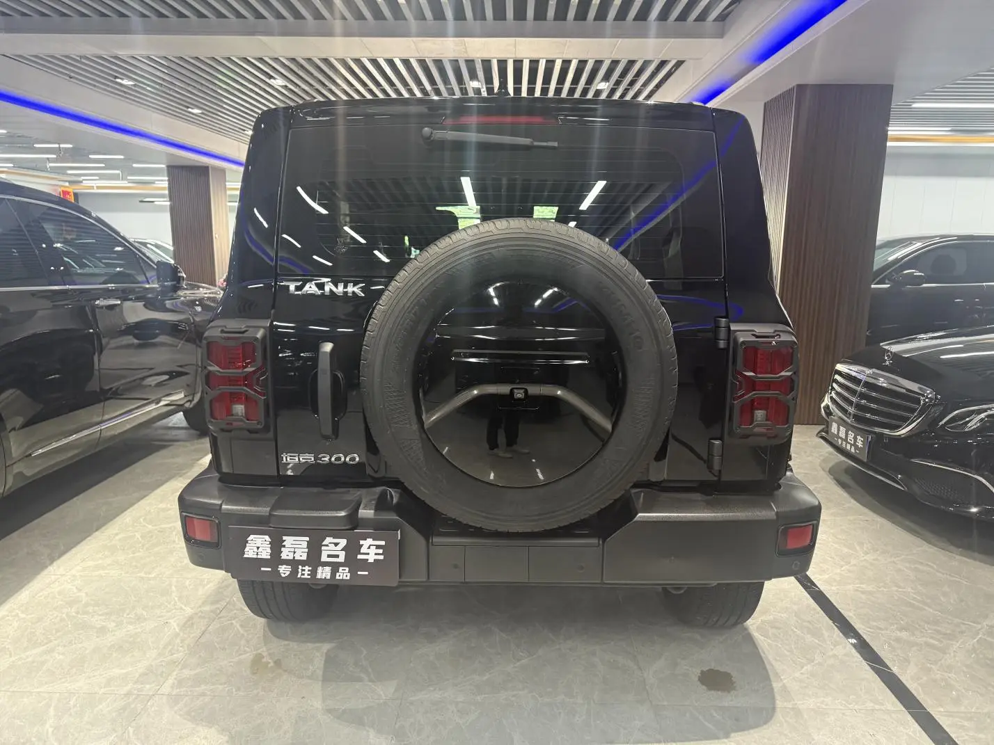 Tank Tank 300 Off-road version 2.0T Conqueror