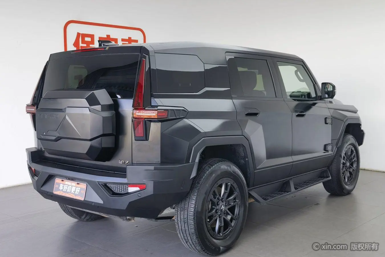 Mengshi Warrior 917 Extended range version
