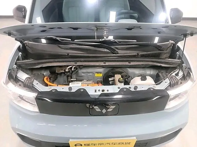 Wuling Wuling Hongguang MINIEV Free lithium iron phosphate
