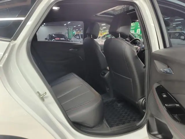 Buick Weilang Pro GS Hunting Wind Edition