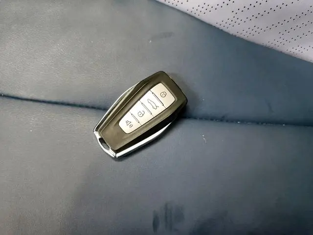 Geometry Geely Geometry E Firefly 401KM Thunderbolt Tiger