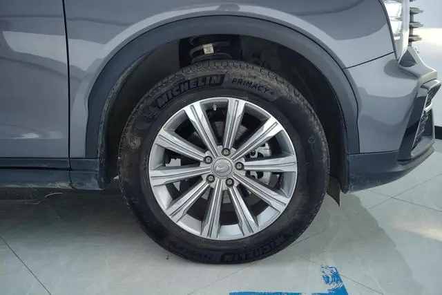 GAC Trumpchi GS8 390T two-wheel drive premium edition 7 seats