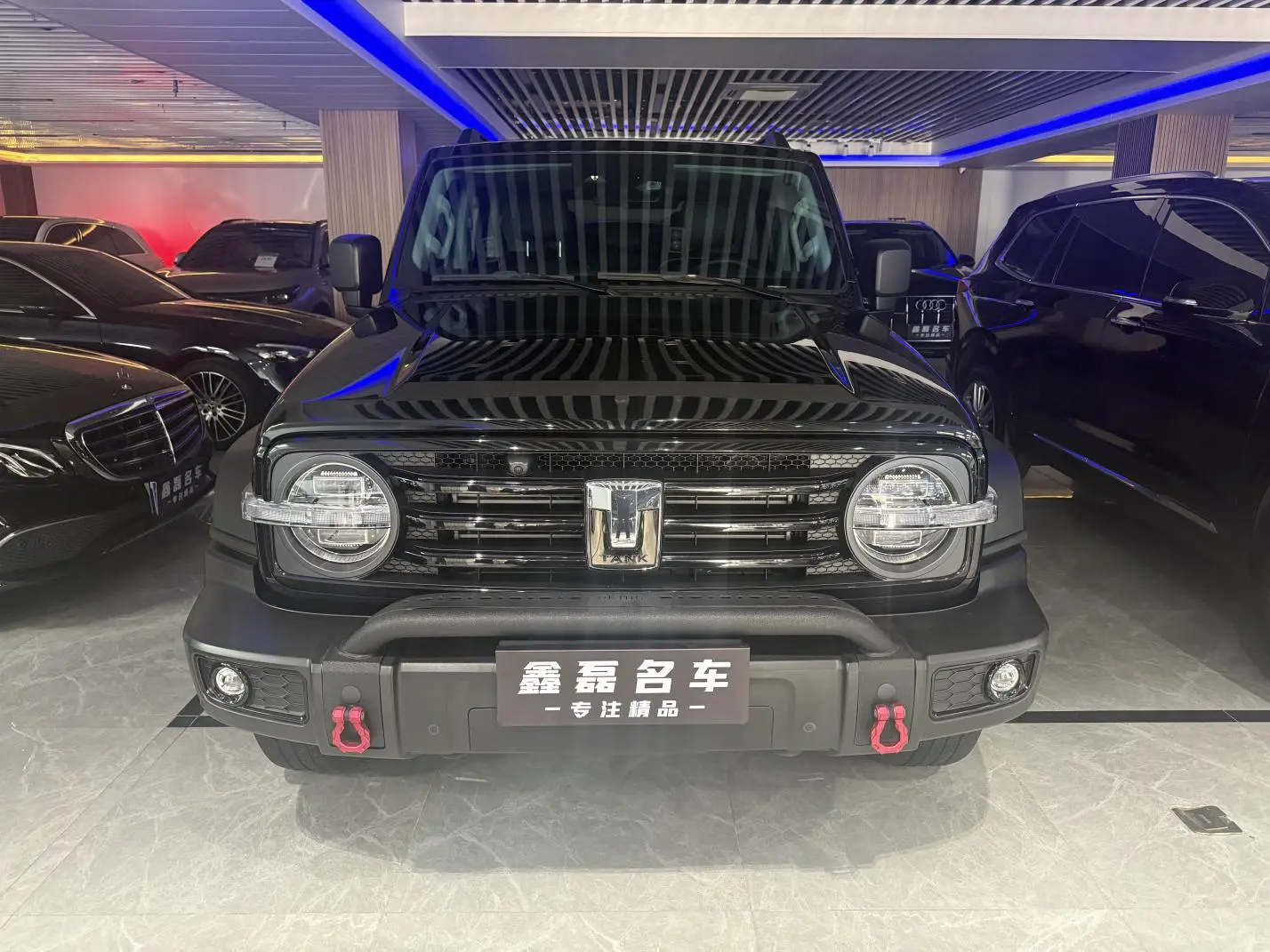 Tank Tank 300 Off-road version 2.0T Conqueror