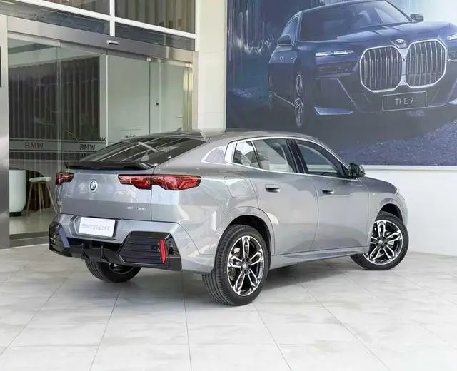 BMW BMW X2 (imported) sDrive25i M sports suit