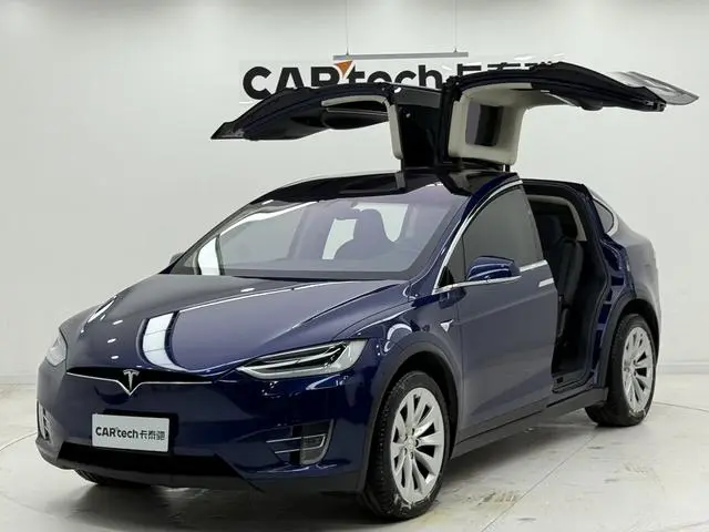 Tesla Model X 100D long battery life version