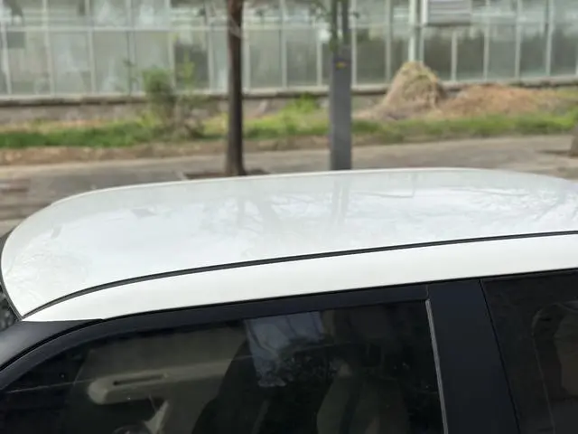 Changan Qiyuan Changan Lumin 301KM honey sweet