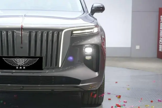 Hongqi Hongqi E-HS9 460km Flag Enjoy edition six seats