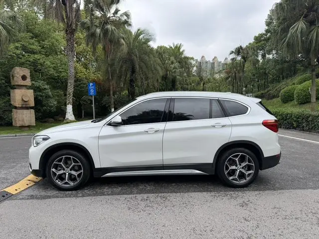 BMW BMW X1 sDrive18Li Exclusive type
