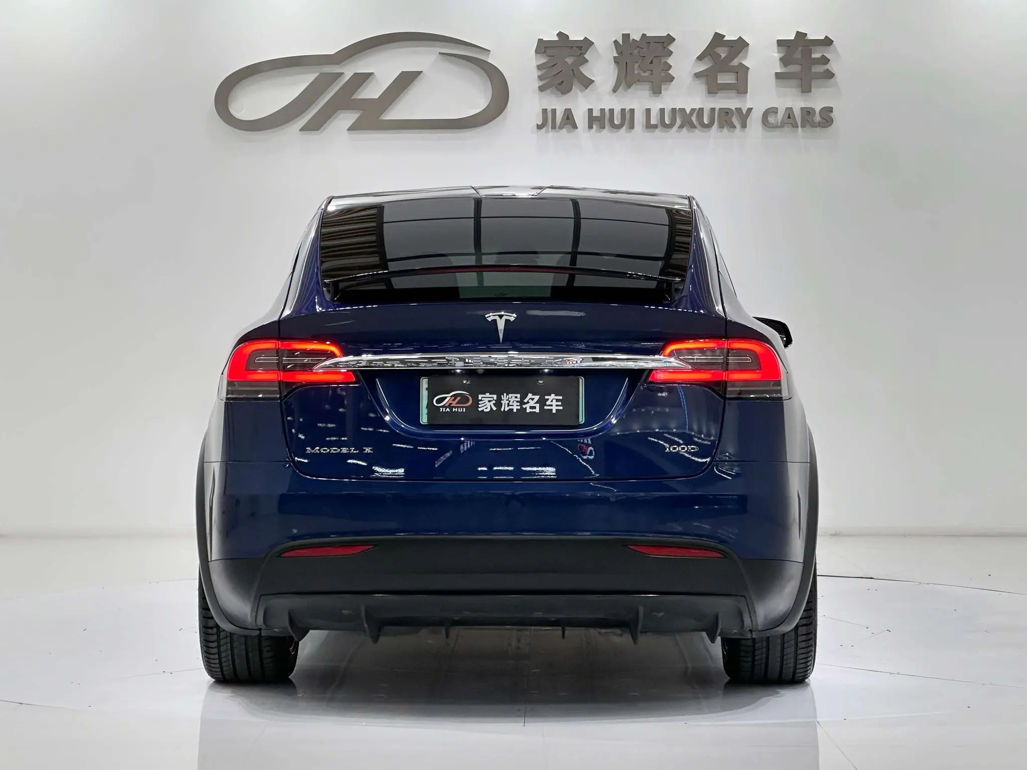 Tesla Model X 100D long battery life version