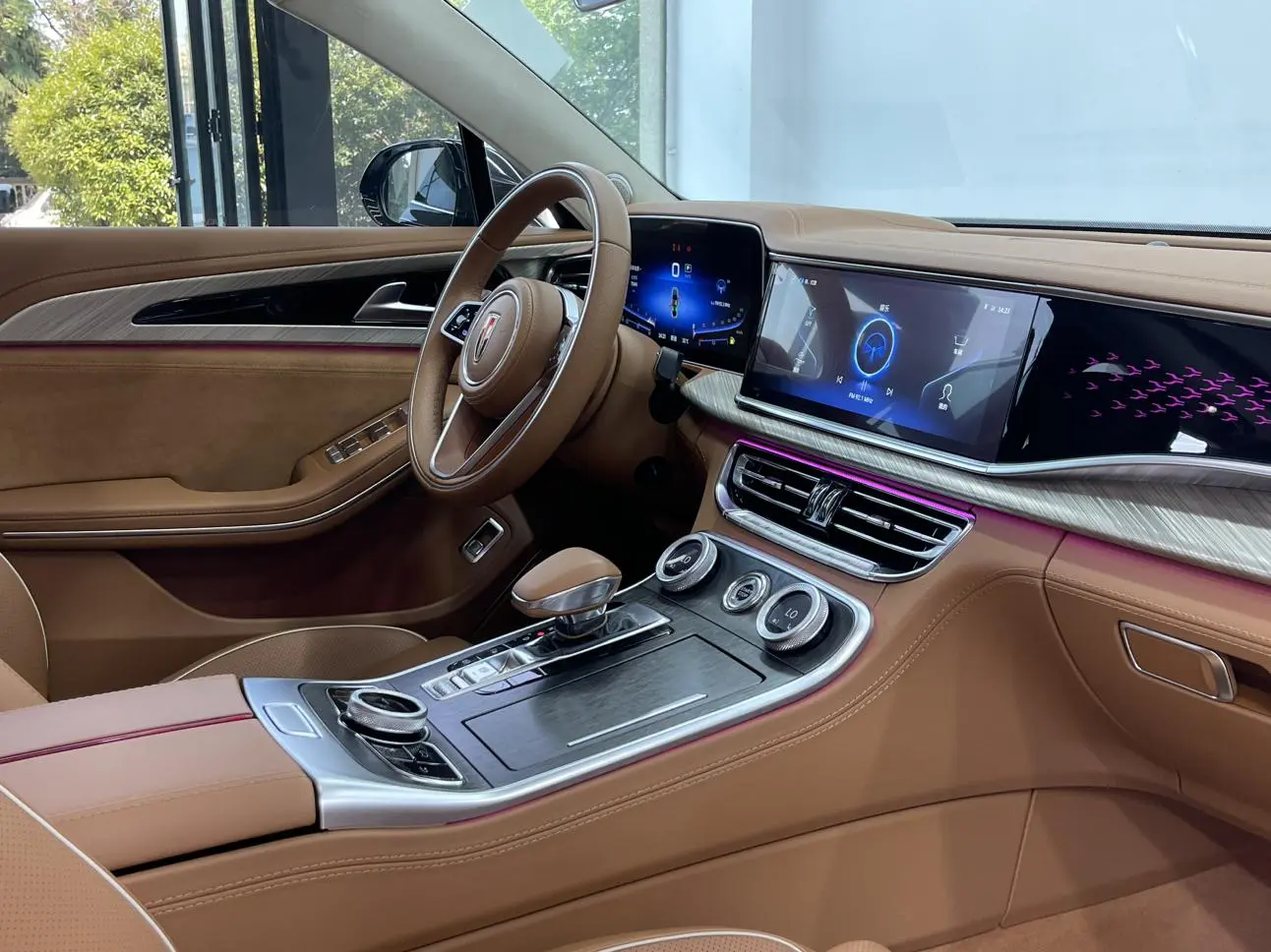 Hongqi Hongqi H9 3.0T Zhilian flag collar four-seater version