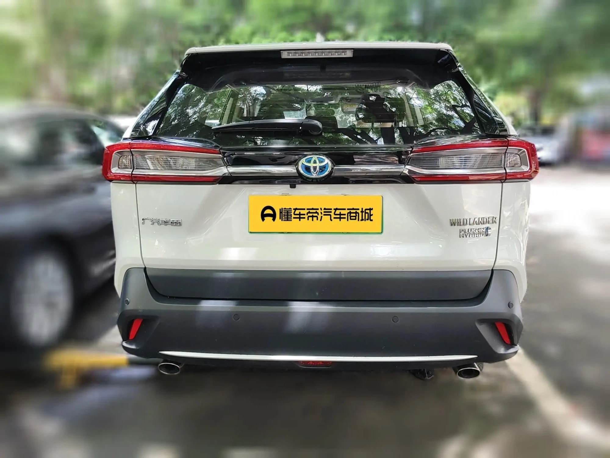 TOYOTA Weilanda PHEV 2.5L two-wheel drive Jin Engine version