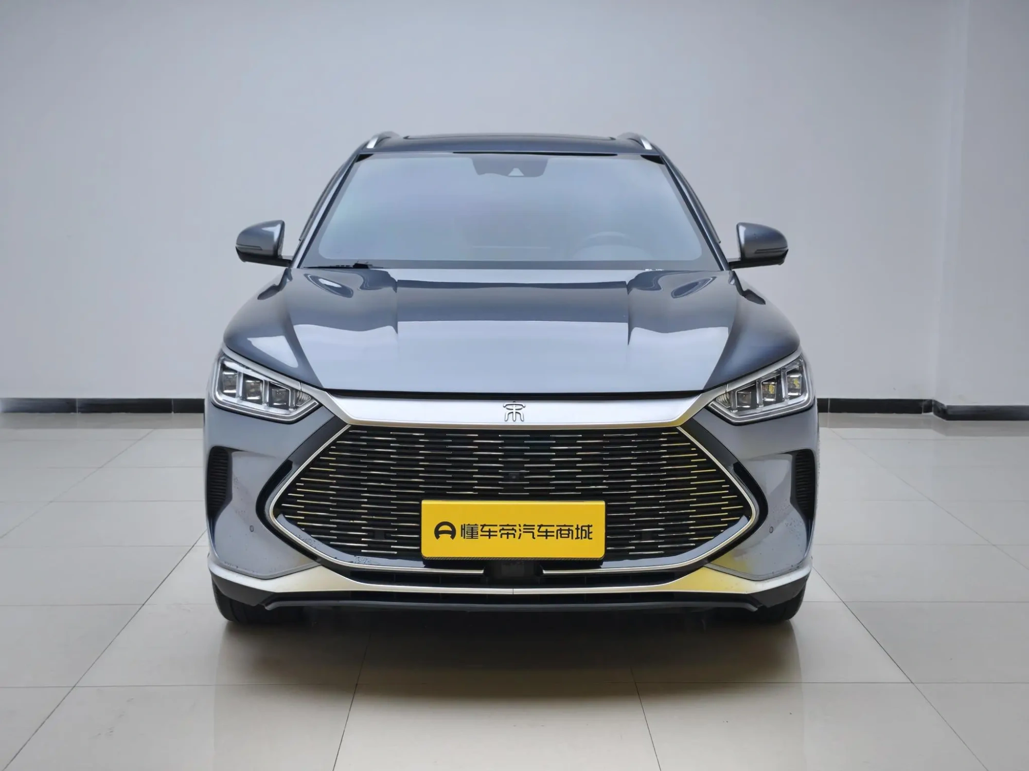 BYD Song PLUS DM DM-i 110KM two-wheel drive flagship PLUS