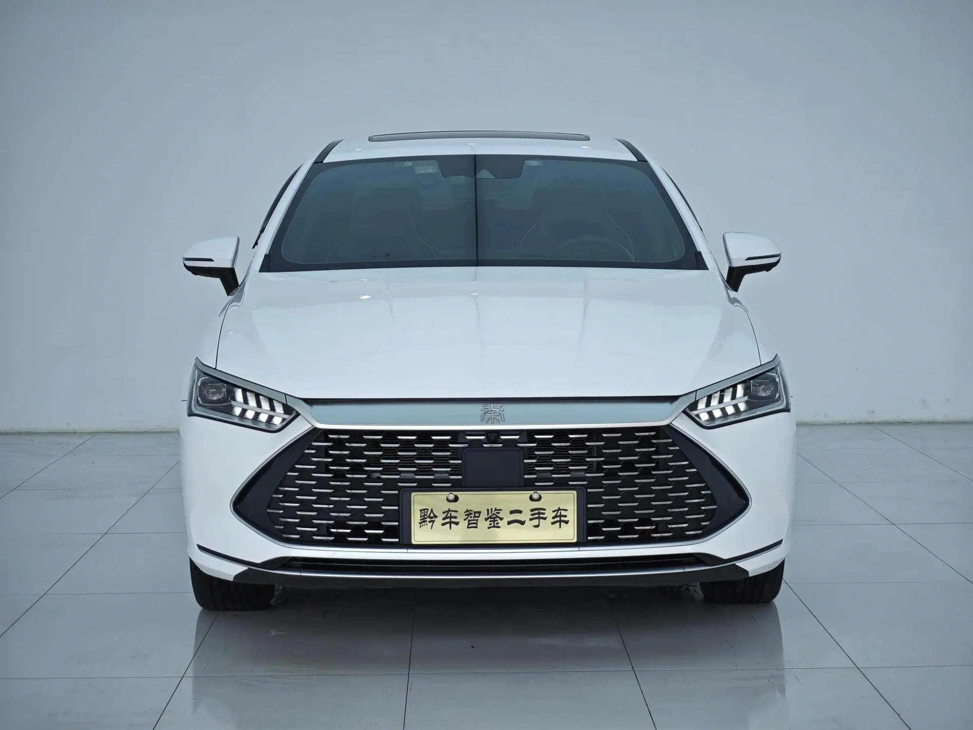 BYD Qin PLUS DM DM-i 120KM flagship type