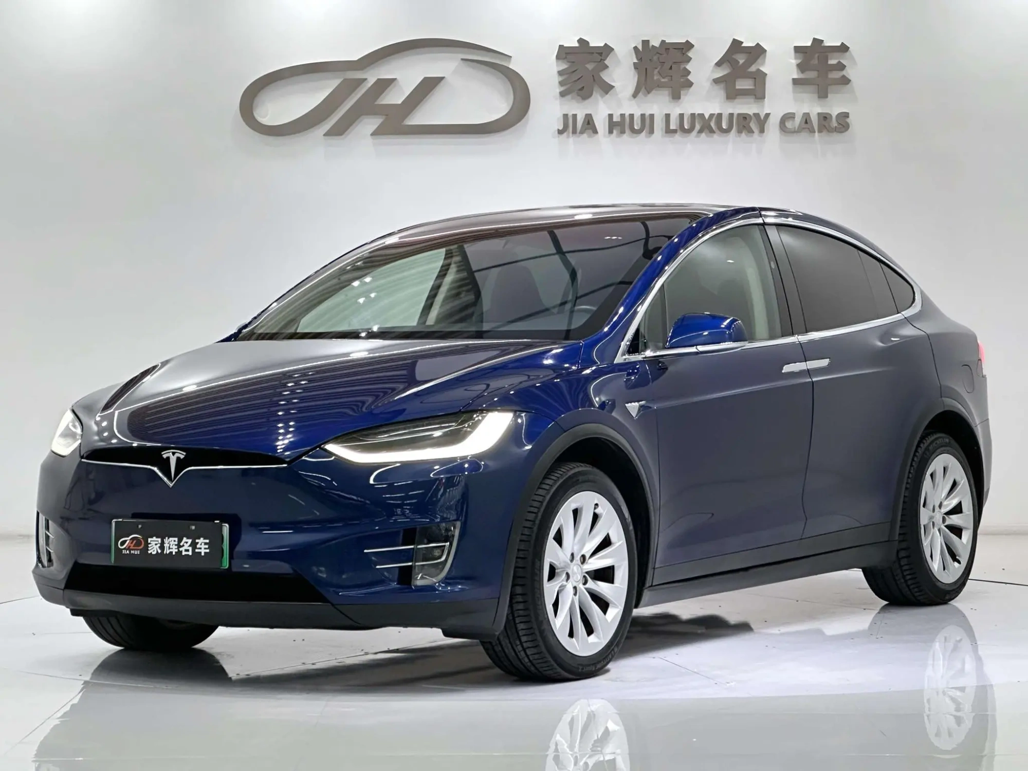 Tesla Model X 100D long battery life version
