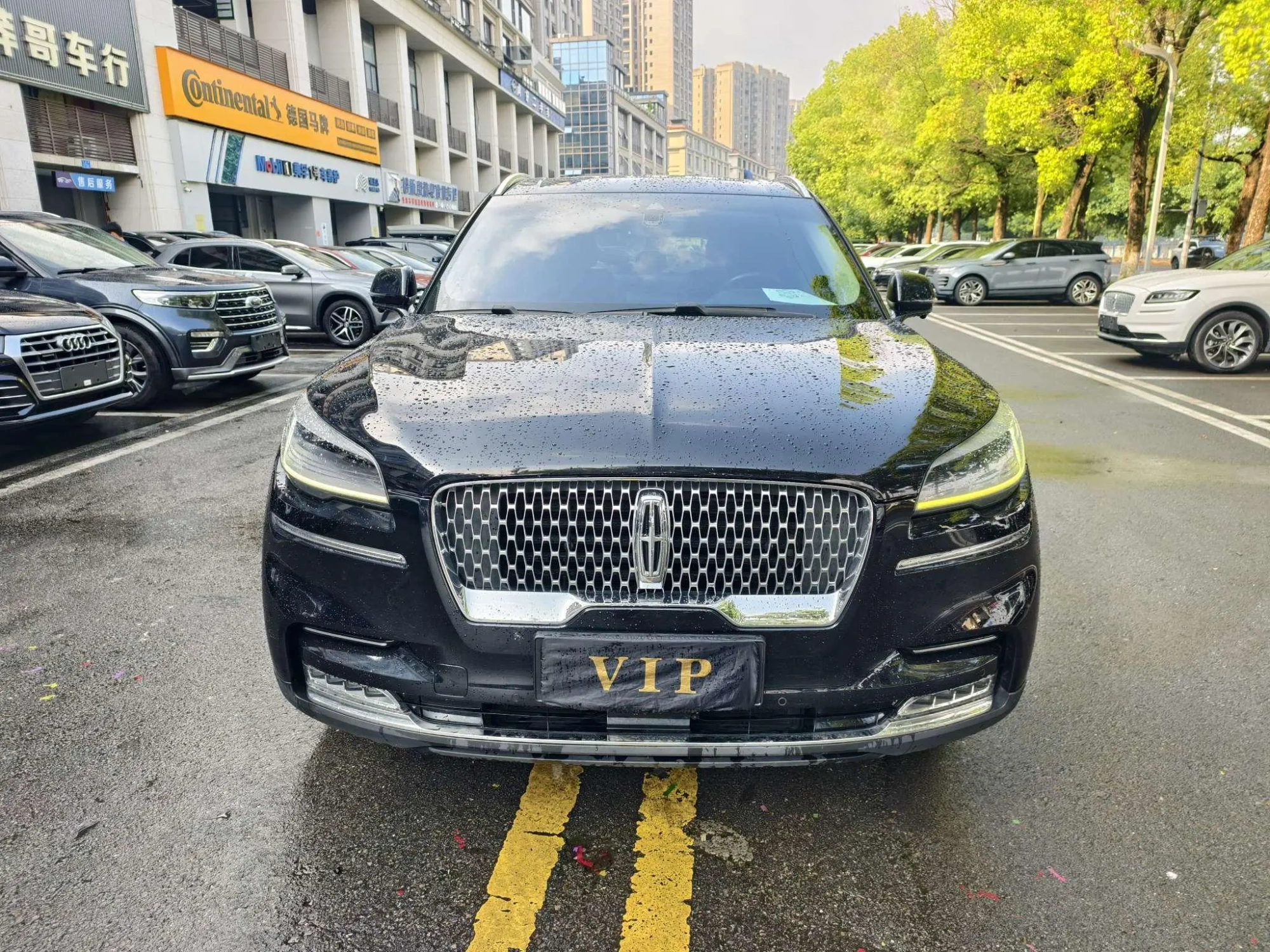 Lincoln Flying home 3.0T V6 four-wheel drive Exclusive Edition