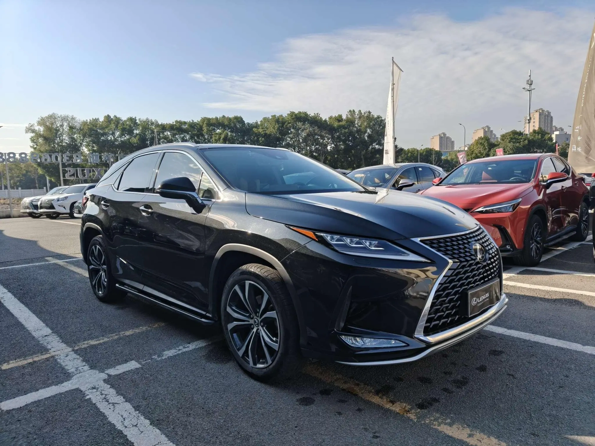 Lexus Lexus RX Facelift 300 four-wheel drive elegant version