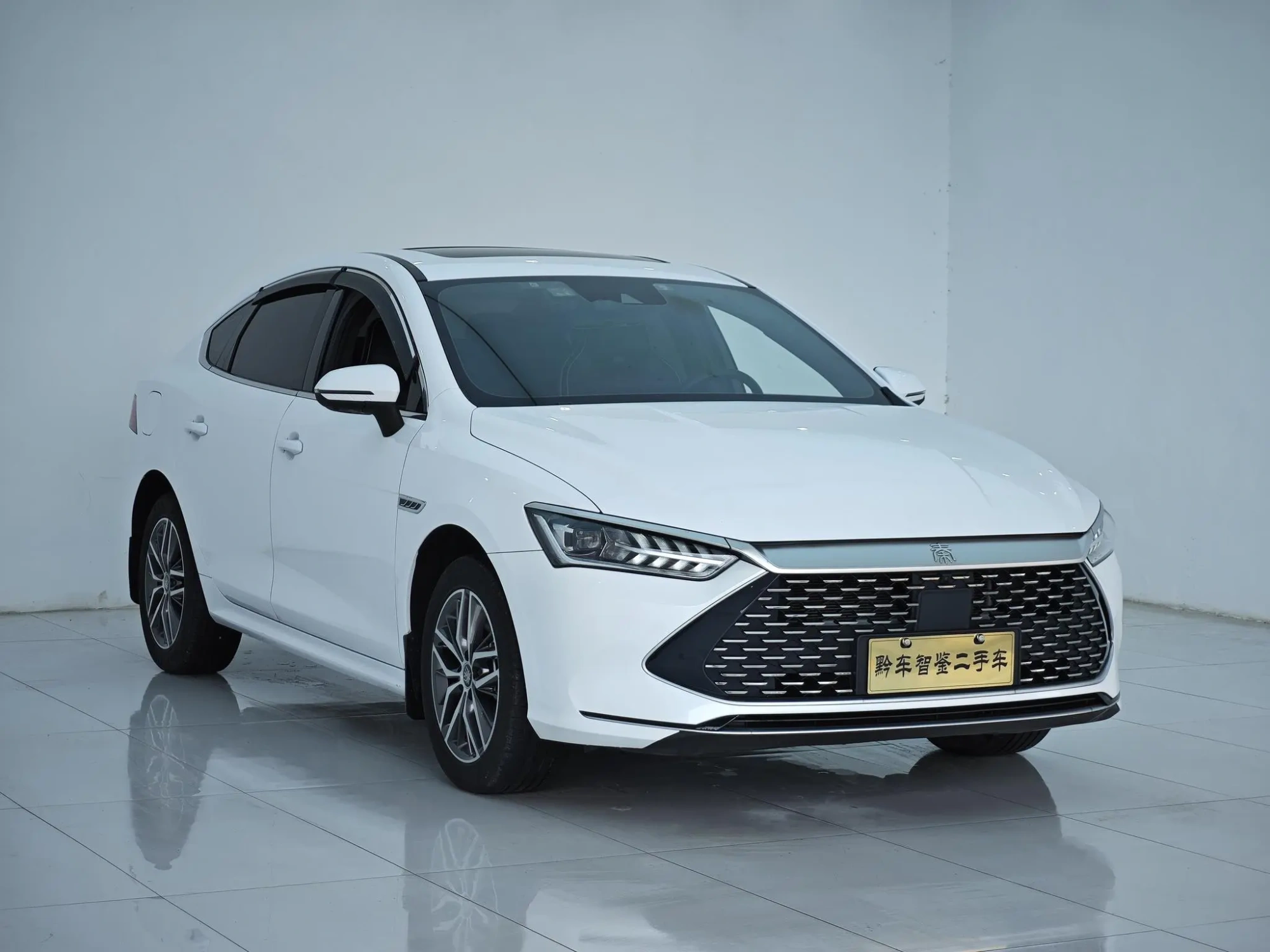 BYD Qin PLUS DM DM-i 120KM flagship type