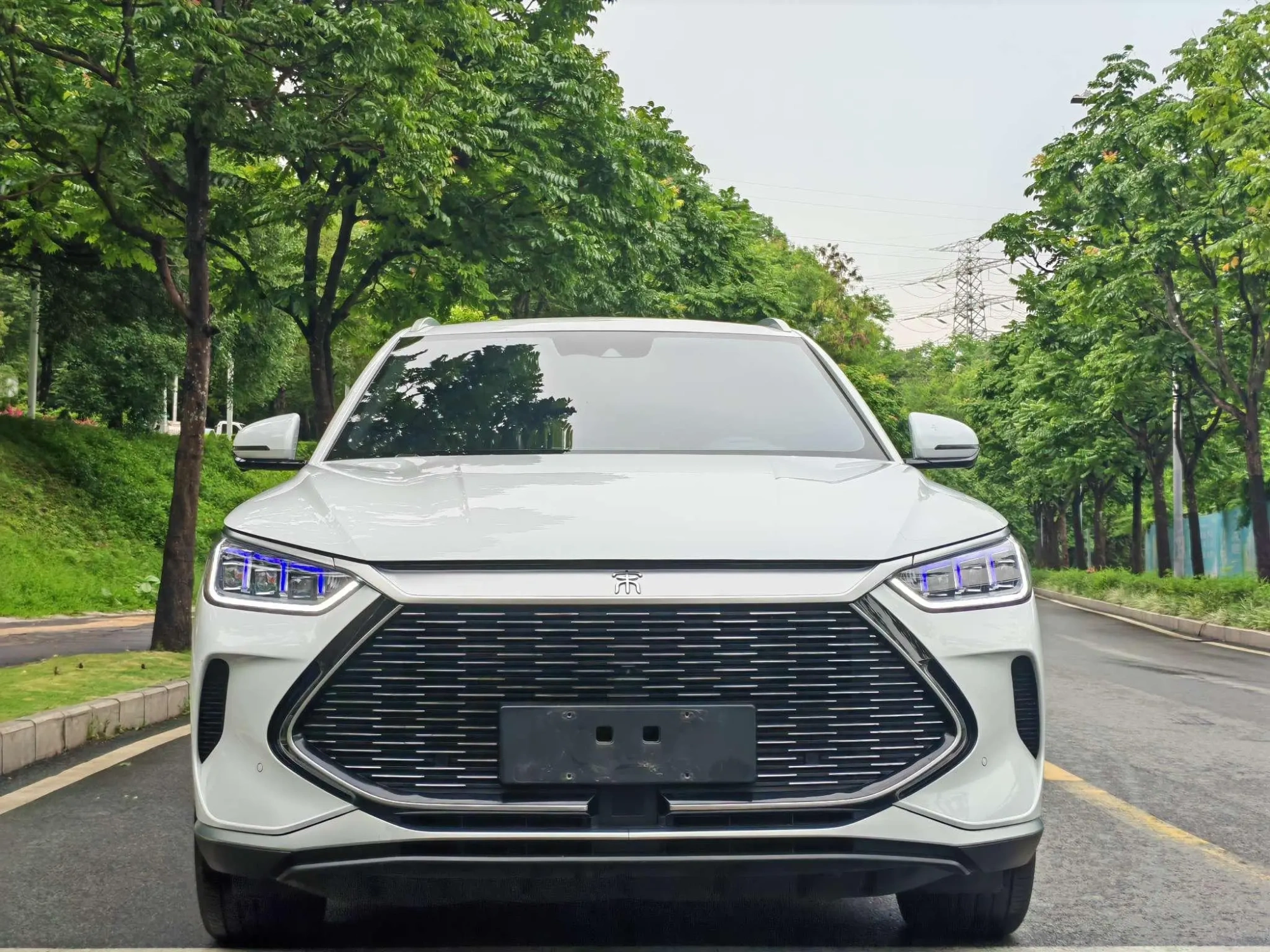 BYD Song PLUS DM DM-i 110KM two-wheel drive flagship PLUS