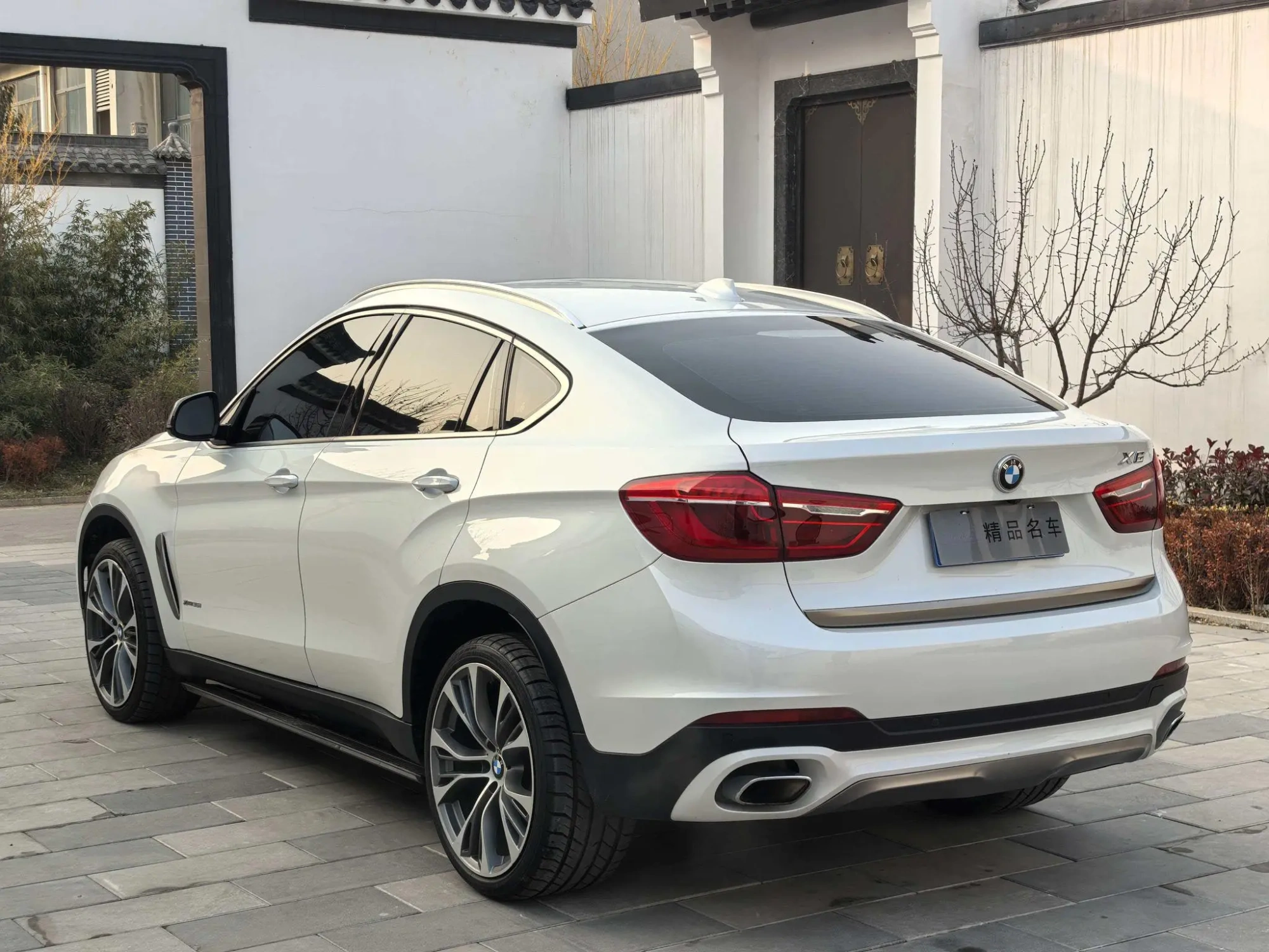 BMW BMW X6 xDrive35i leading type