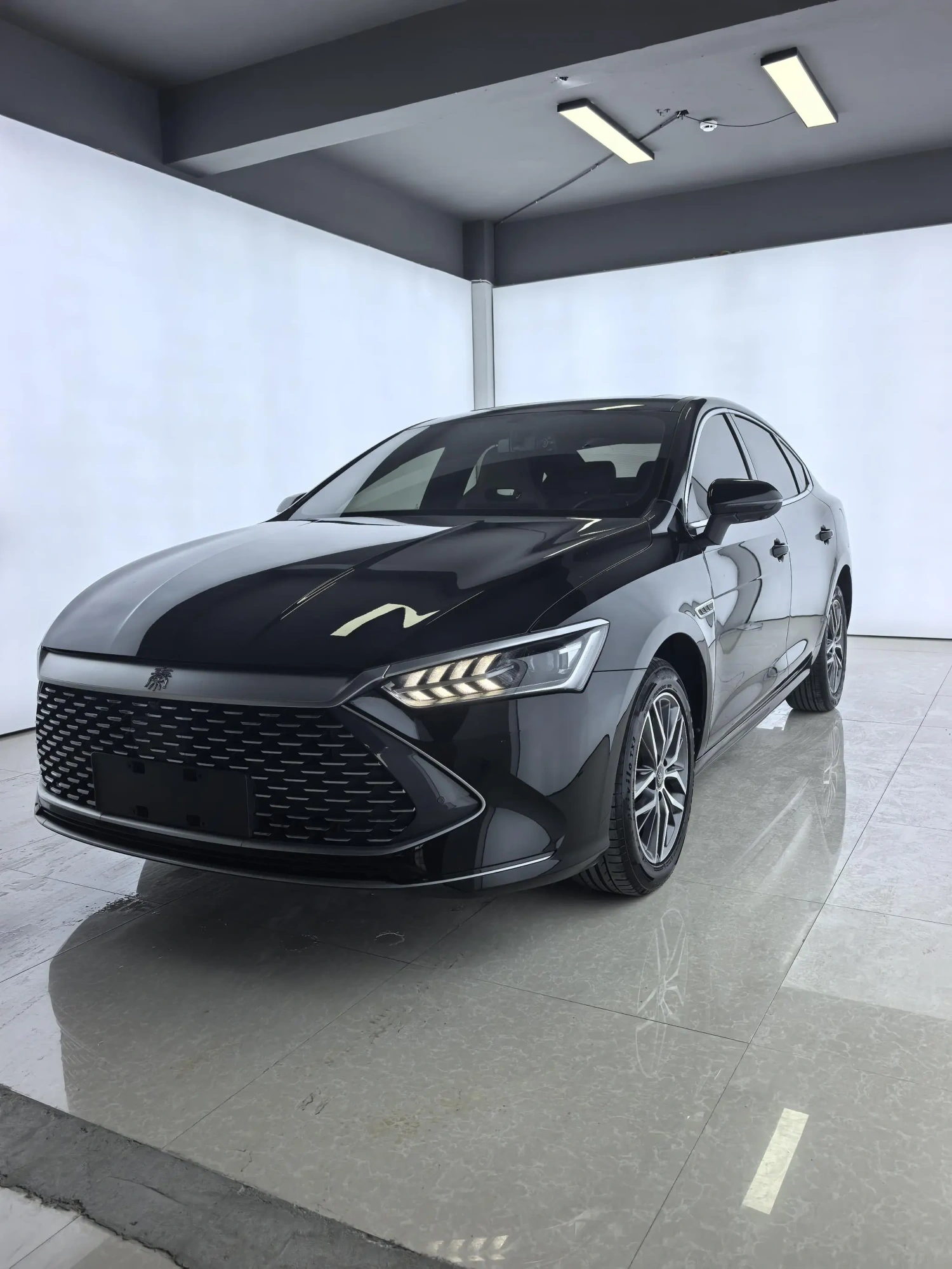 BYD Qin PLUS DM DM-i Champion Edition 120KM Transcendent Type