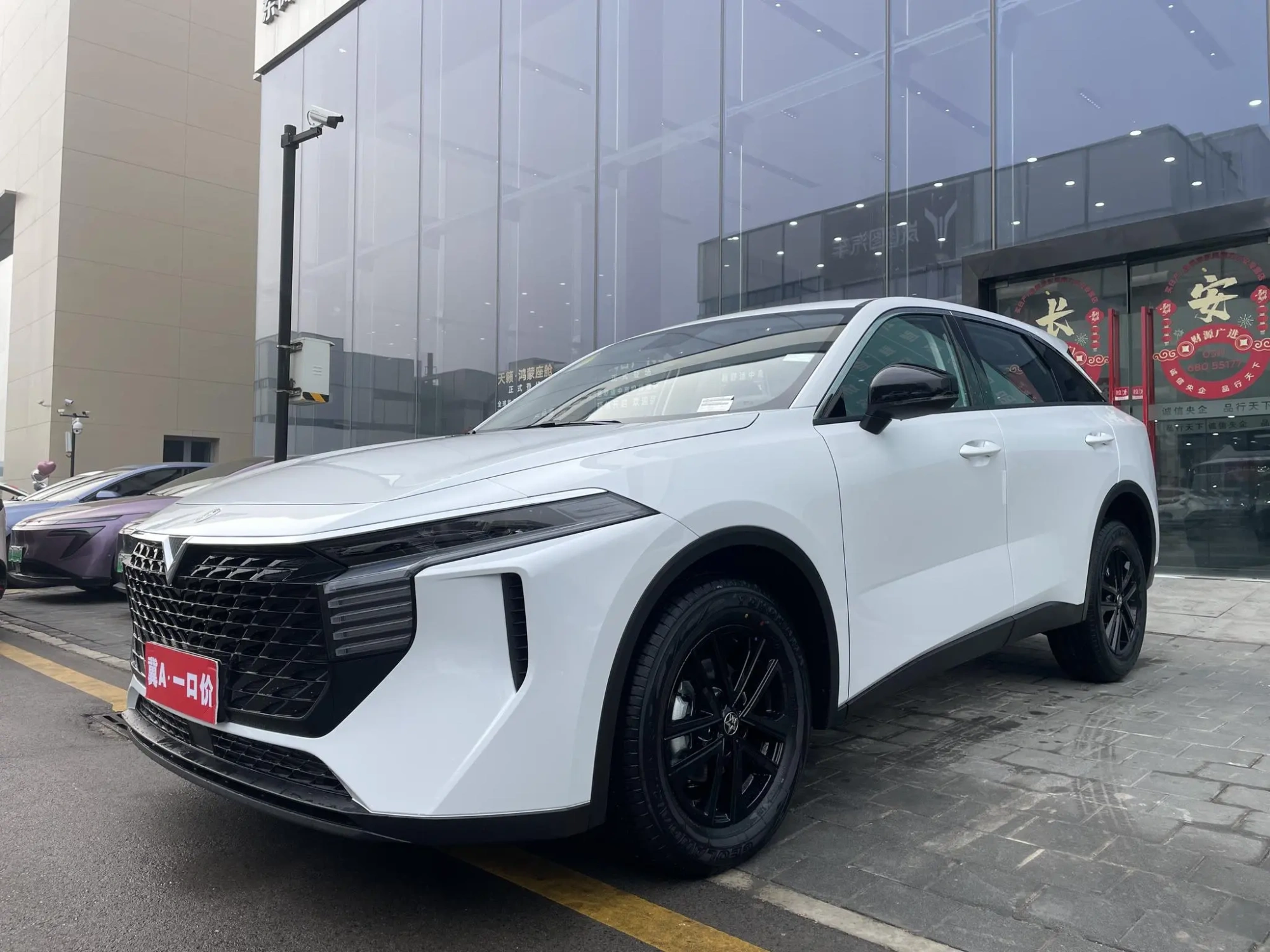 Venucia Qichen Big V 260T Nova Edition Pro