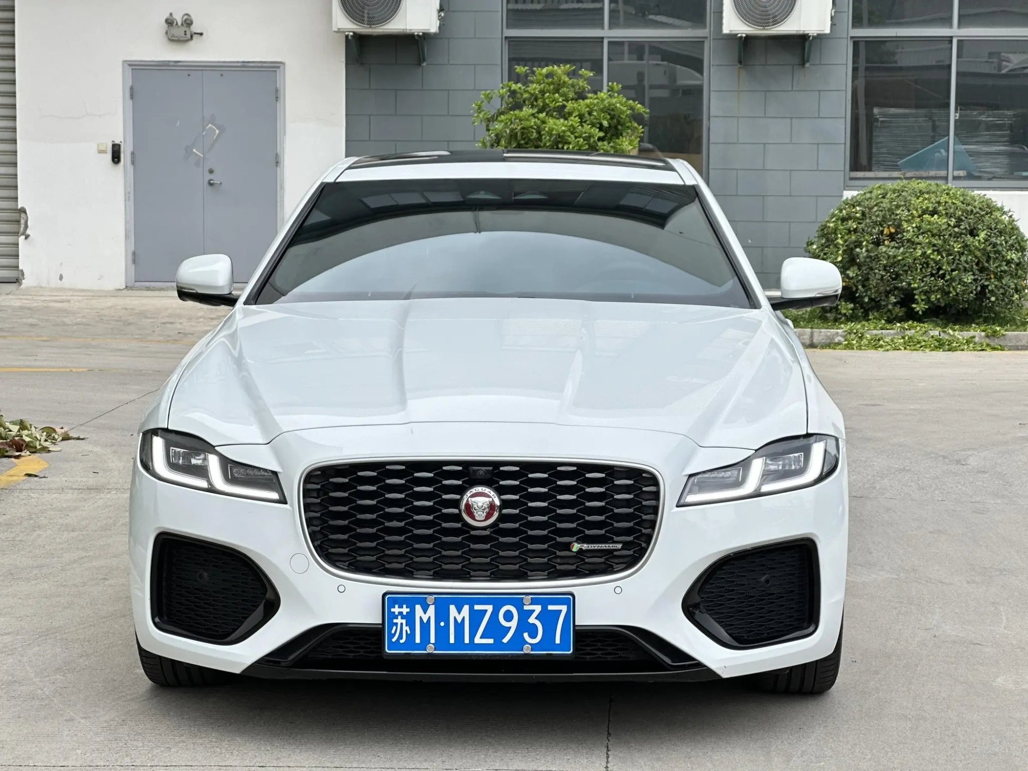 Jaguar Jaguar XFL 2.0T P250 two-wheel drive elite sports edition