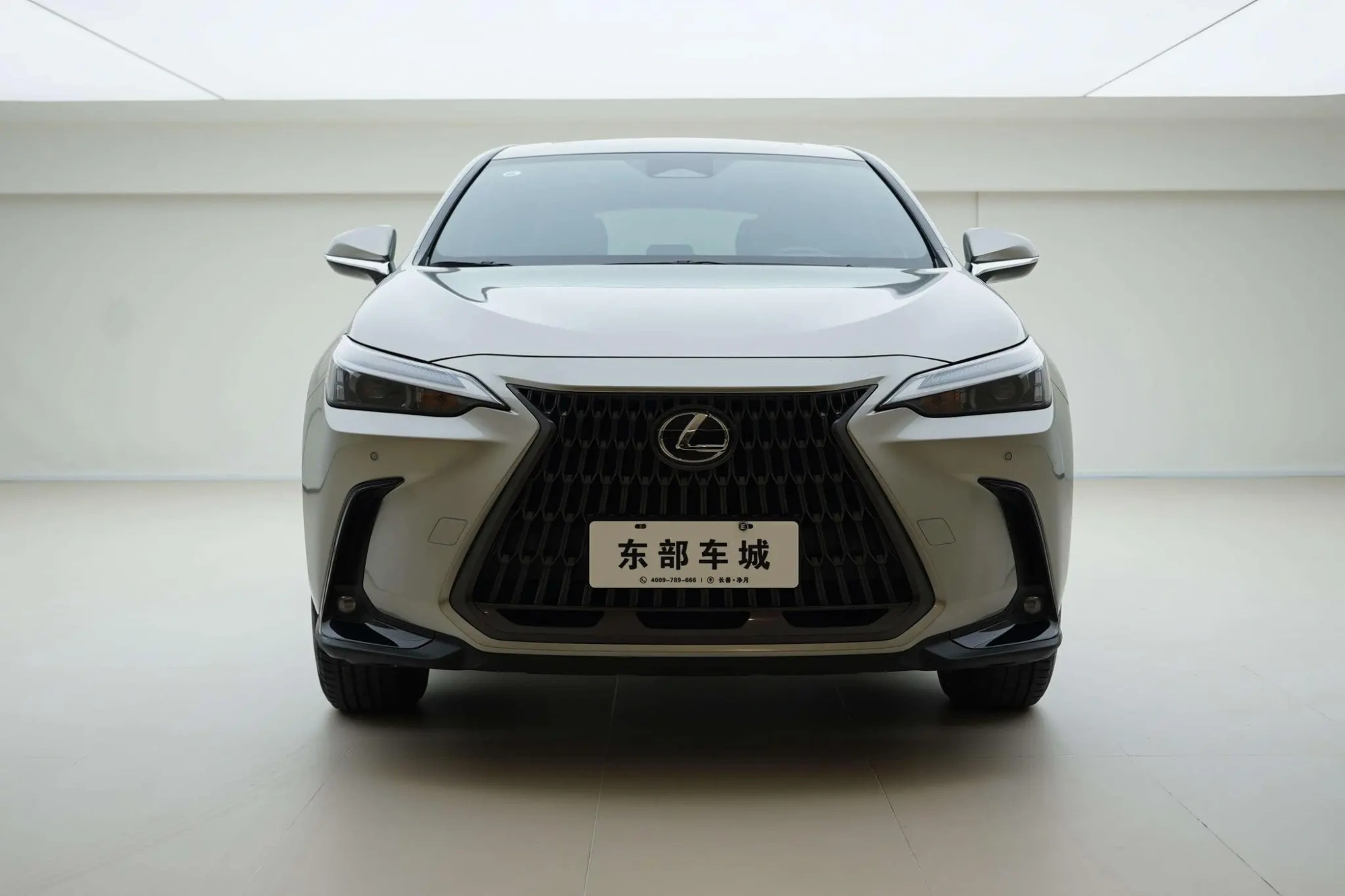 Lexus Lexus NX 350h front drive Chuangyue Edition