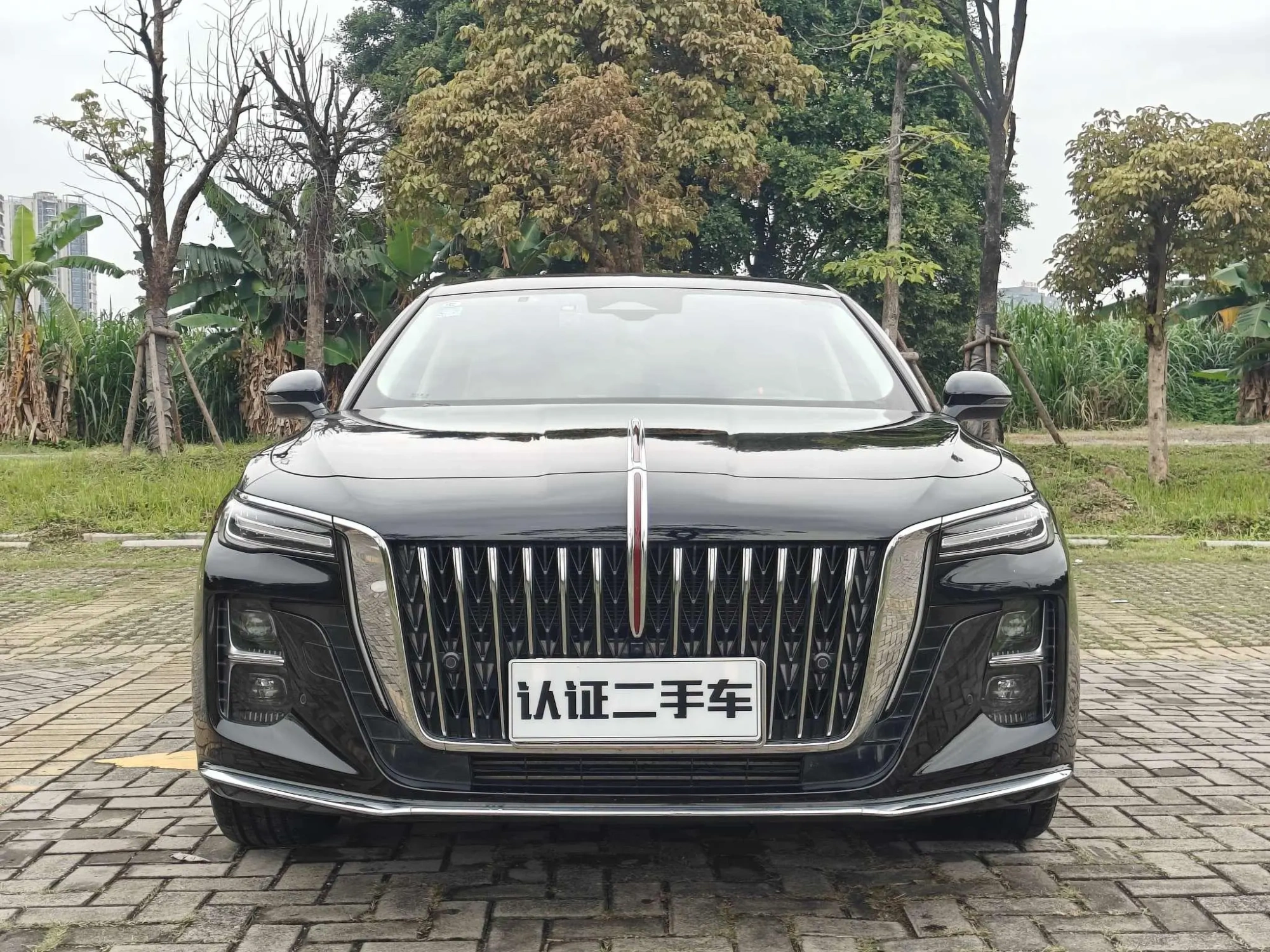 Hongqi Hongqi H5 2.0T Automatic Zhilian Qichang Version