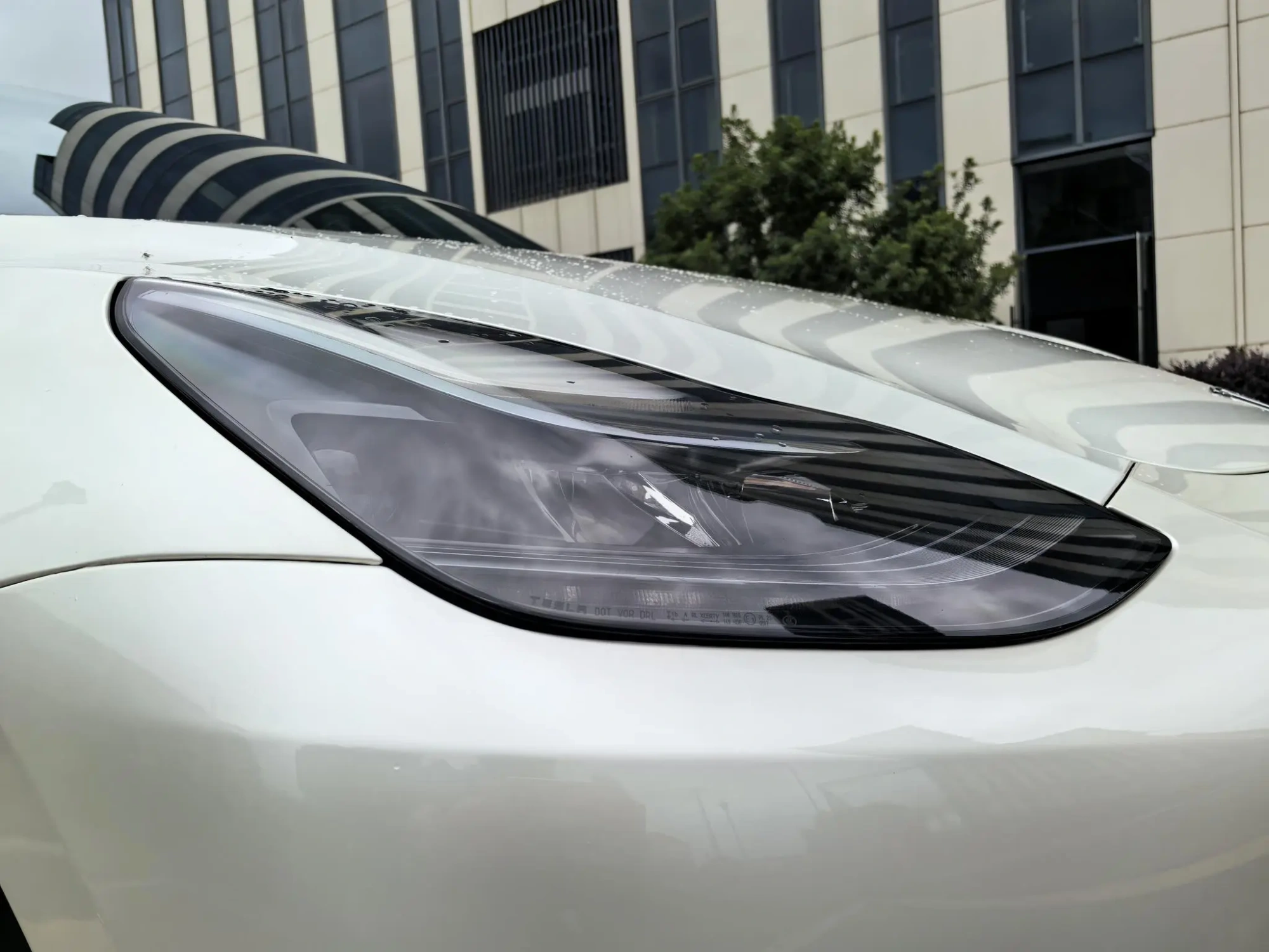 Tesla Model Y Rear-wheel drive version