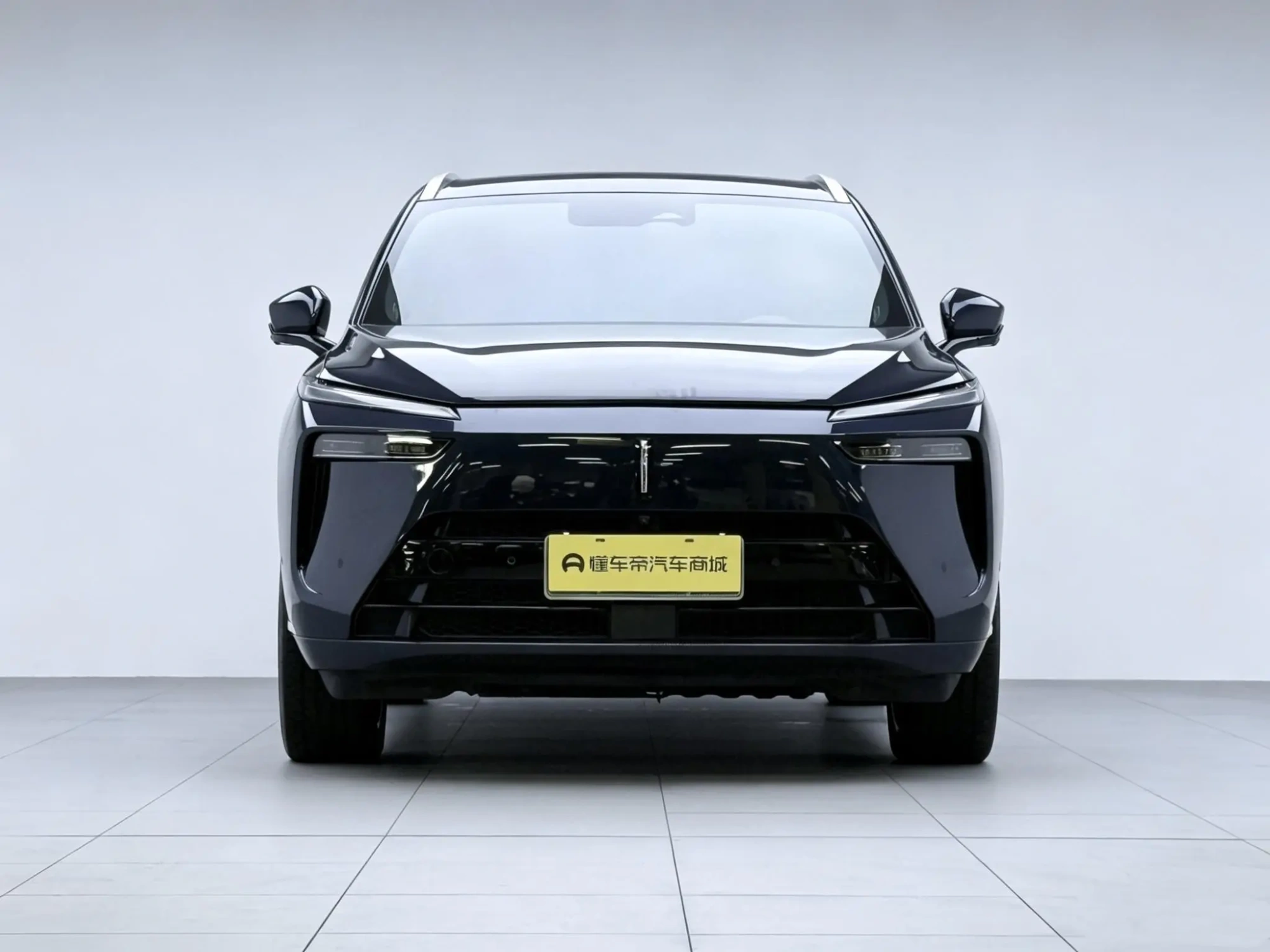 Wei Blue Mountain Four-wheel drive ultra-long battery life version