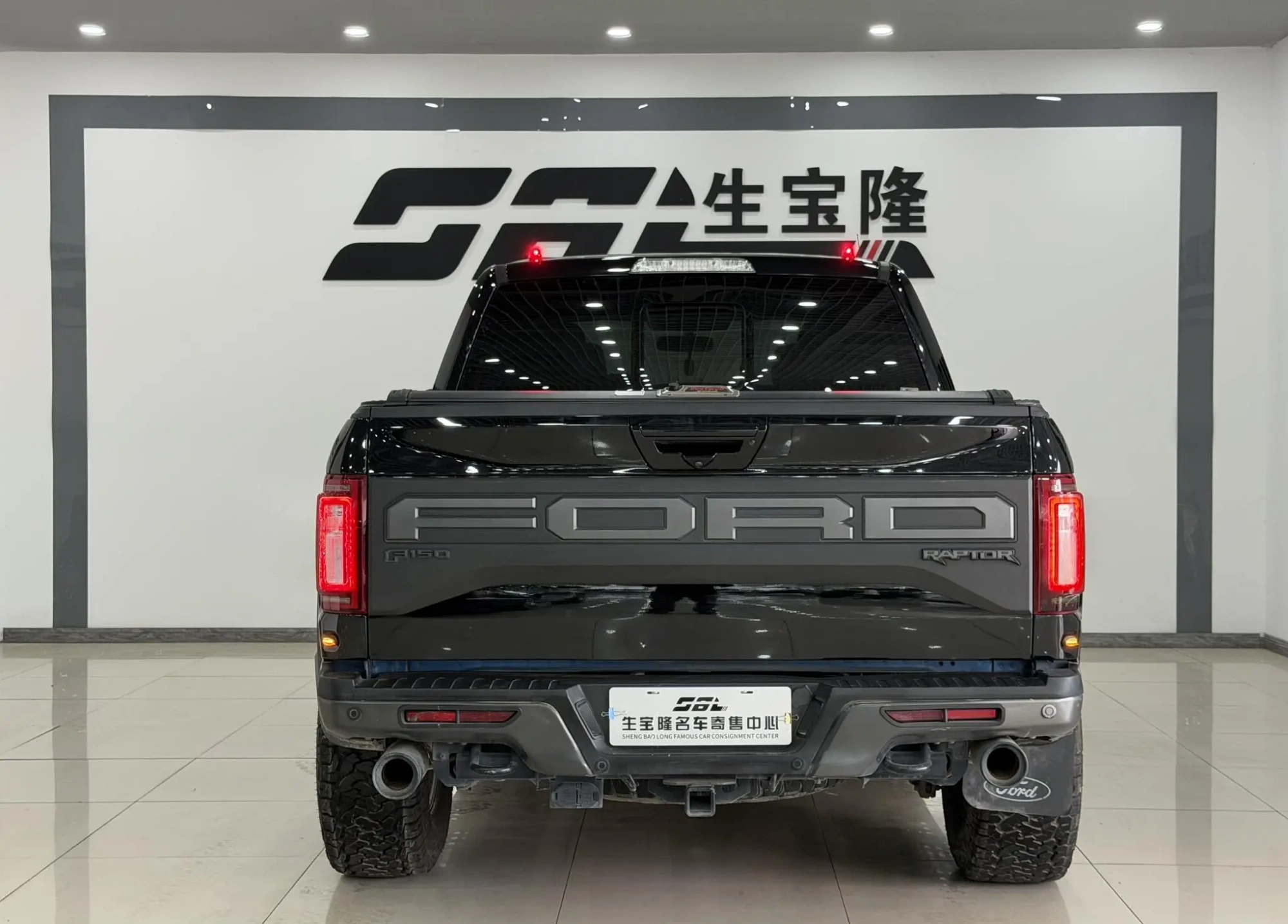Ford Ford F-150 Raptor 3.5T Raptor Performance Enhanced Version