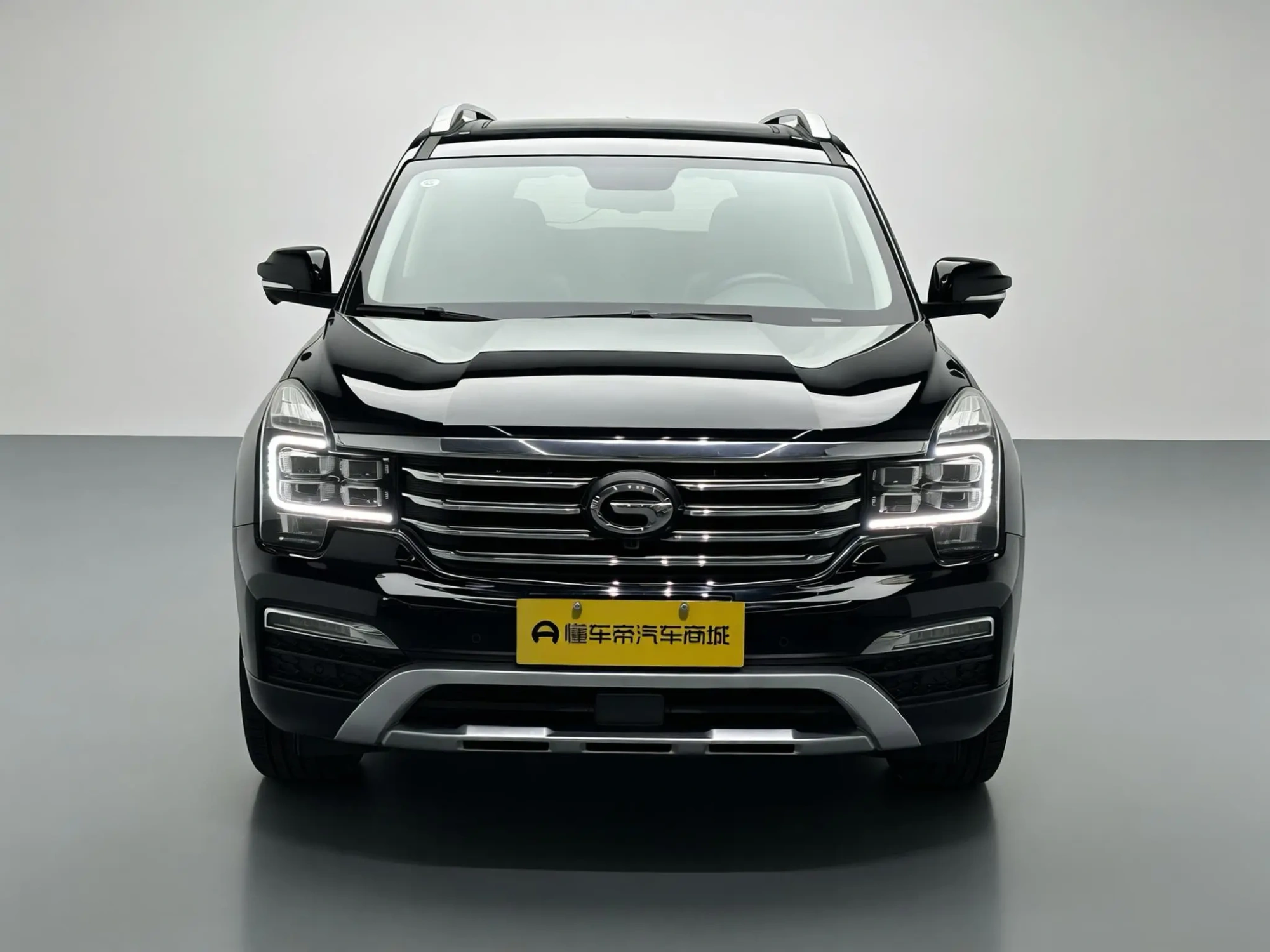 GAC Trumpchi GS8 320T two-wheel drive luxury Zhilian Edition 7 seats