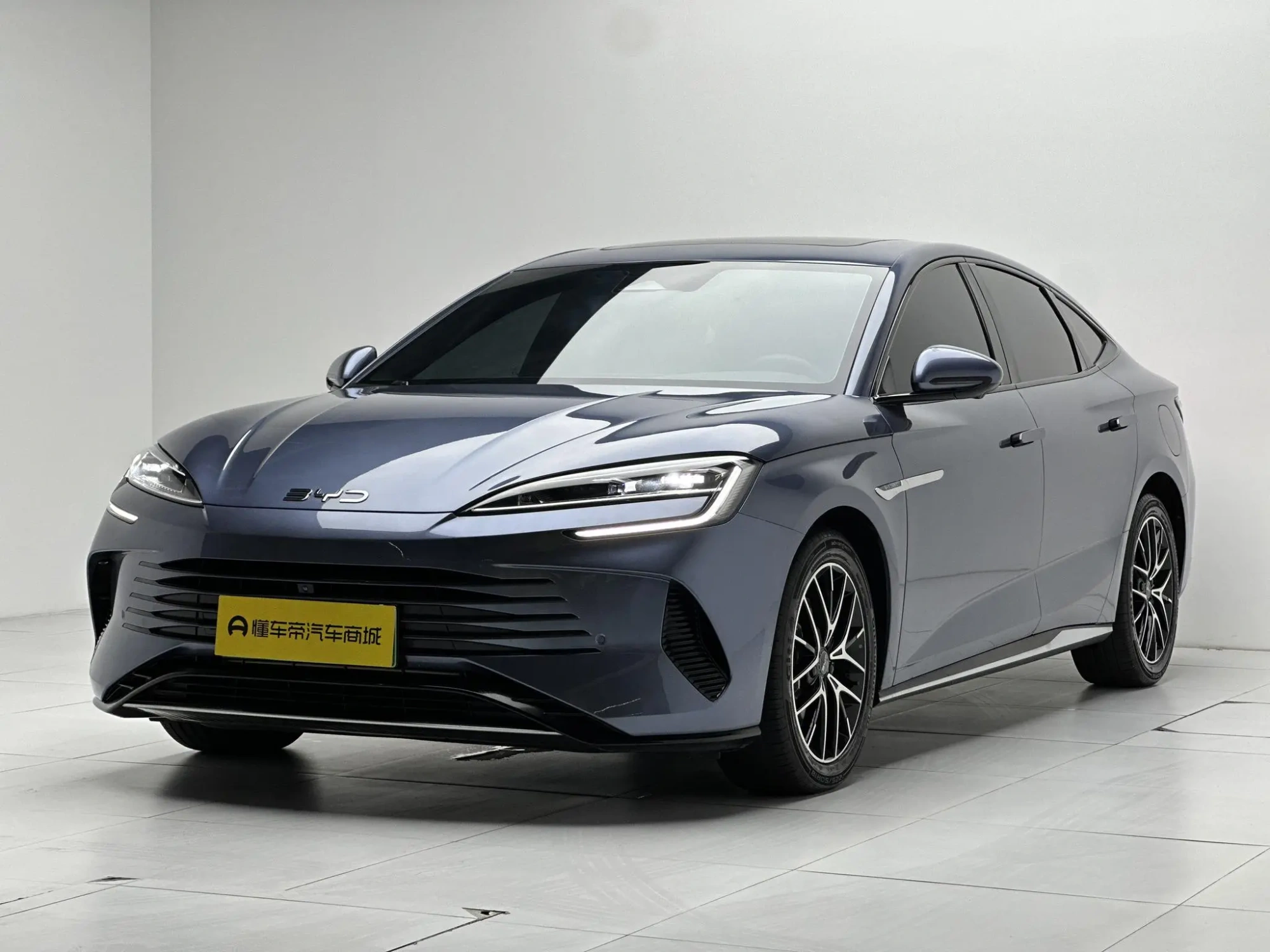 BYD Seal DM DM-i 1.5T 121KM Honor type