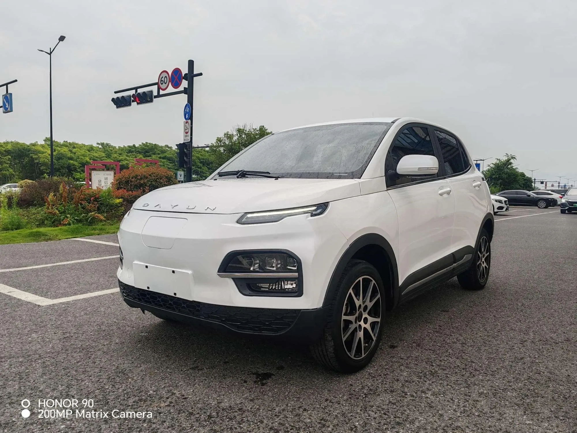 Dayun Yuehu 30.66kWh two-wheel drive vip edition