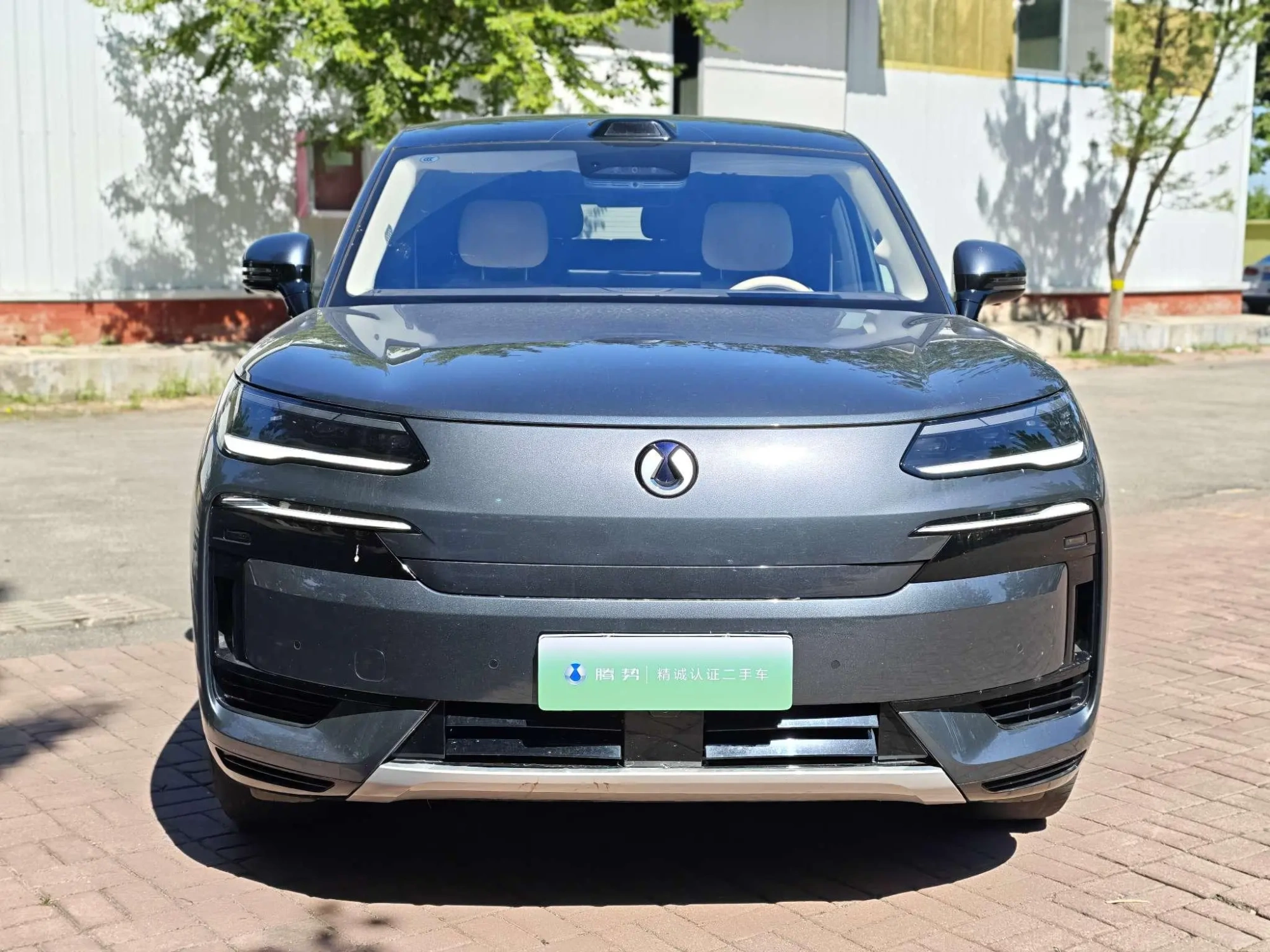 Denza Denza N9 DM Flagship type