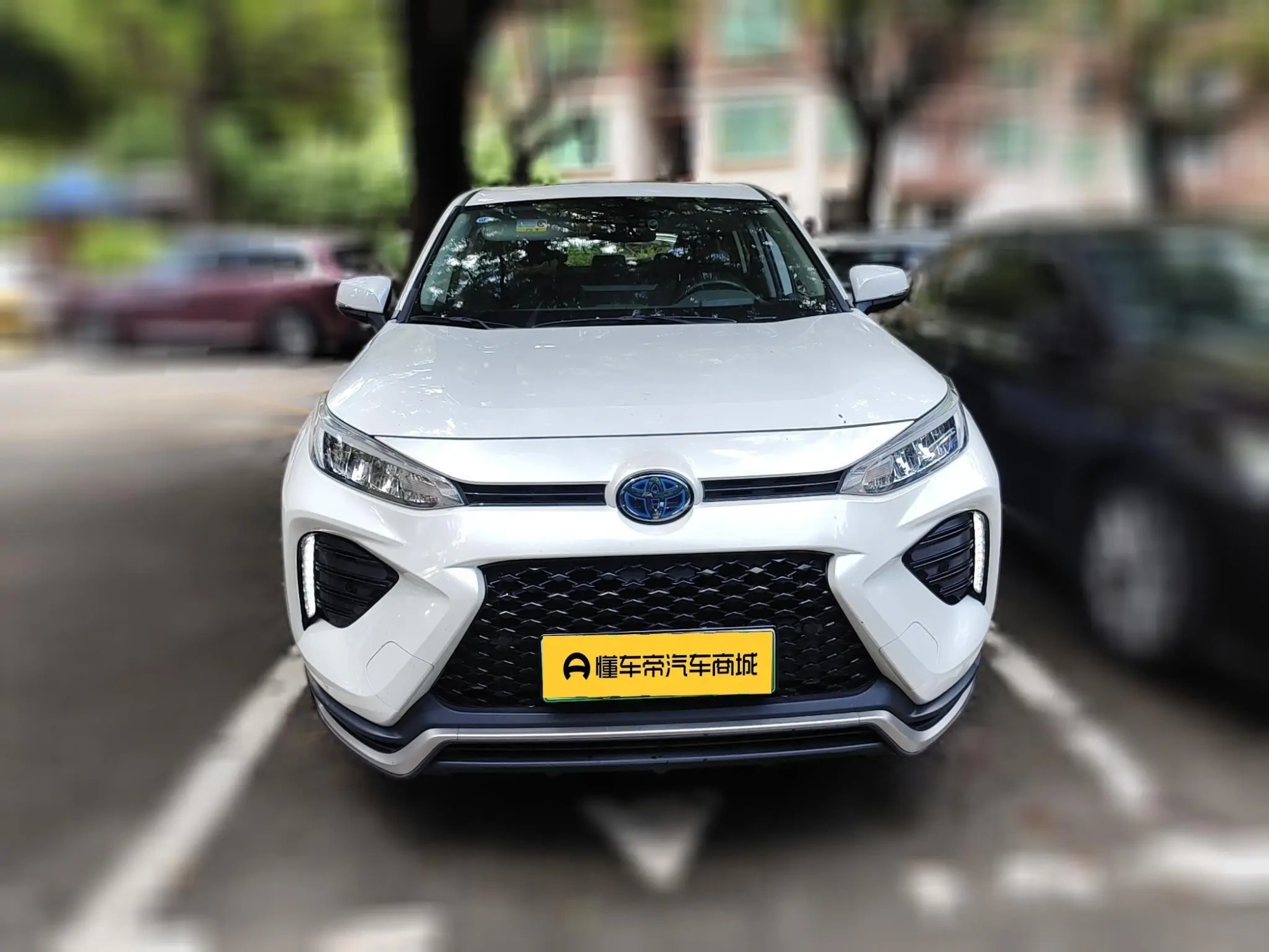 TOYOTA Weilanda PHEV 2.5L two-wheel drive Jin Engine version