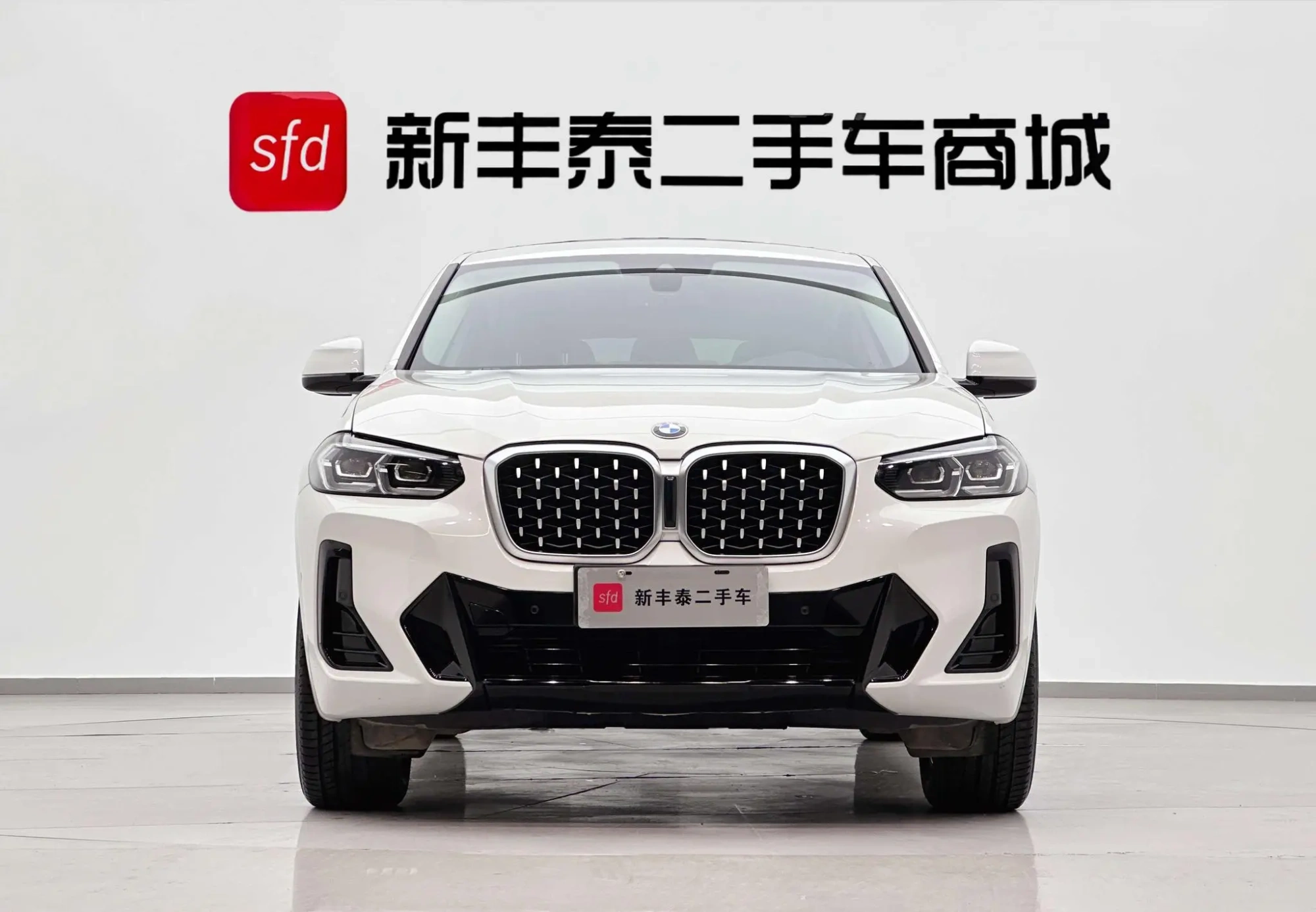 BMW BMW X4 xDrive 25i M sports suit