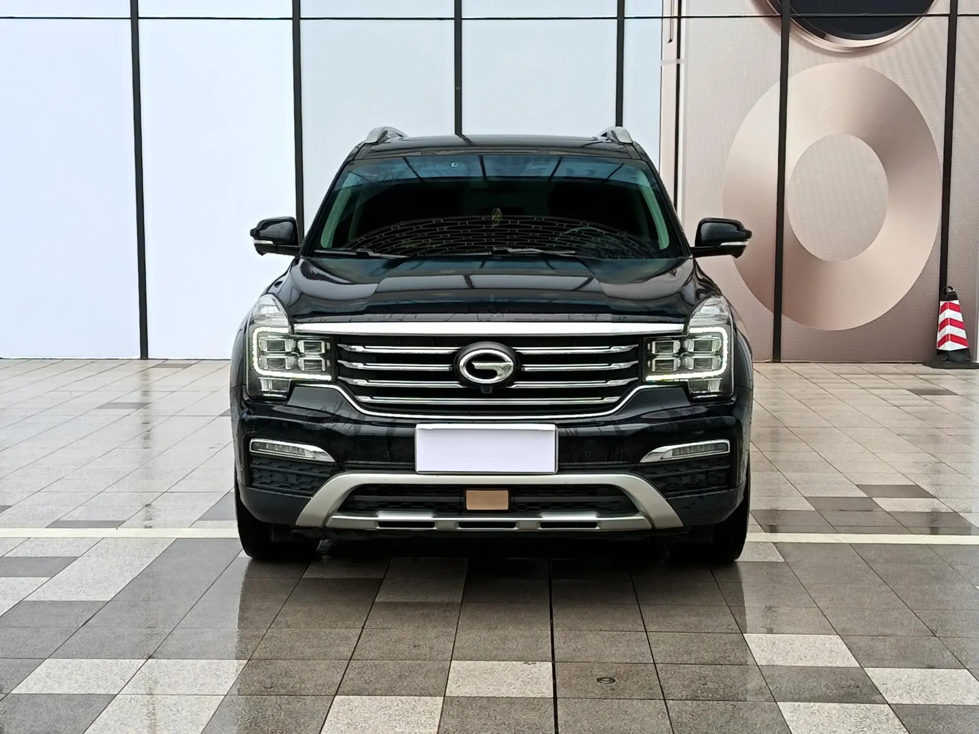 GAC Trumpchi GS8 320T two-wheel drive deluxe edition 7 seats