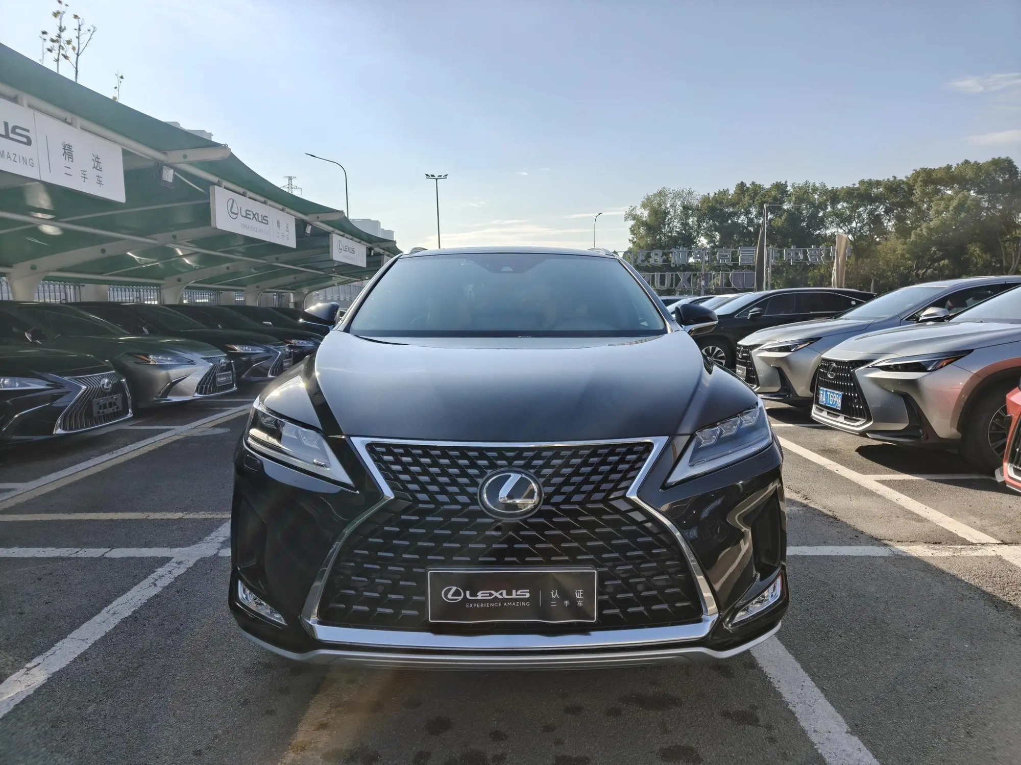 Lexus Lexus RX Facelift 300 four-wheel drive elegant version