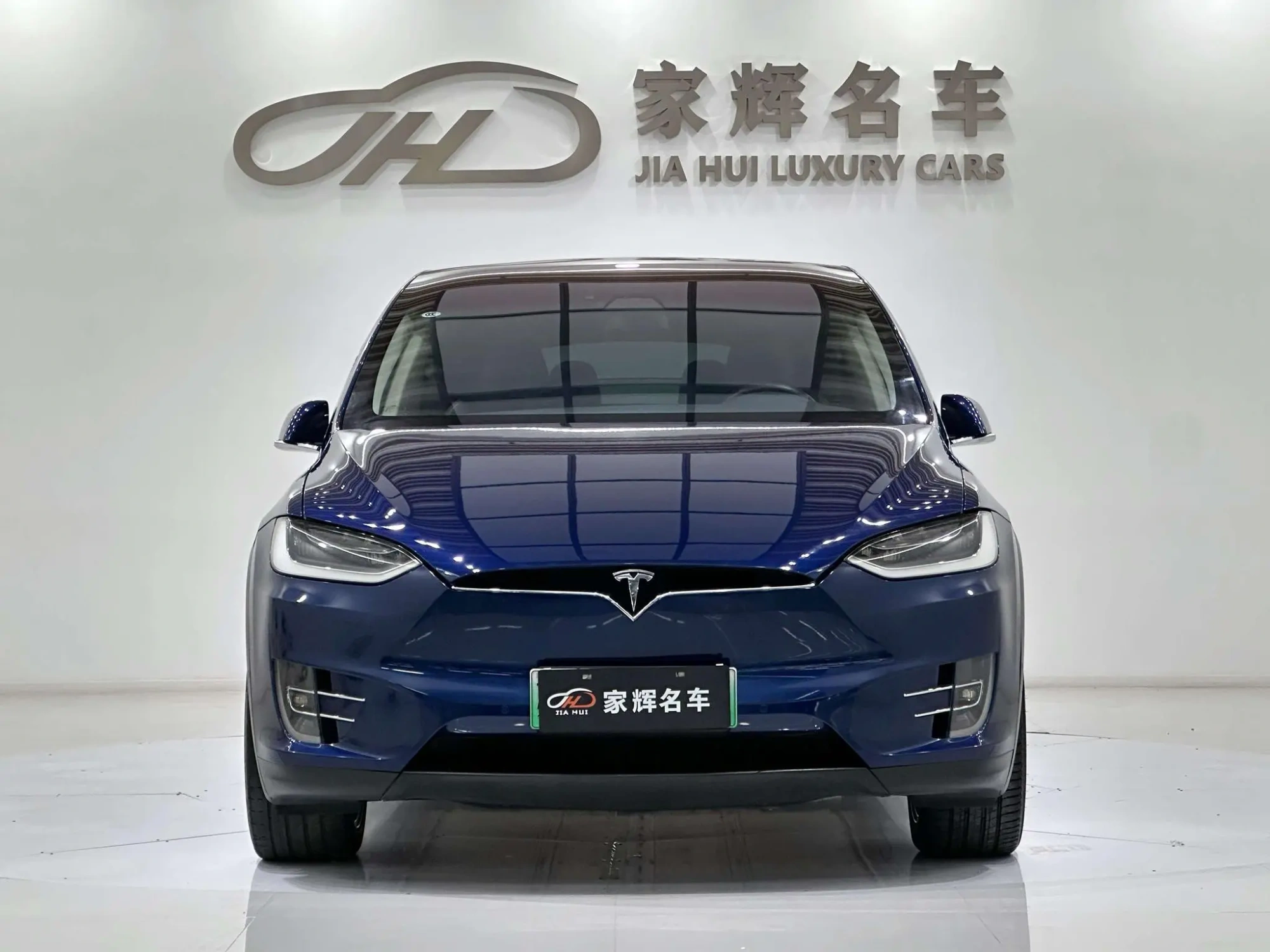 Tesla Model X 100D long battery life version