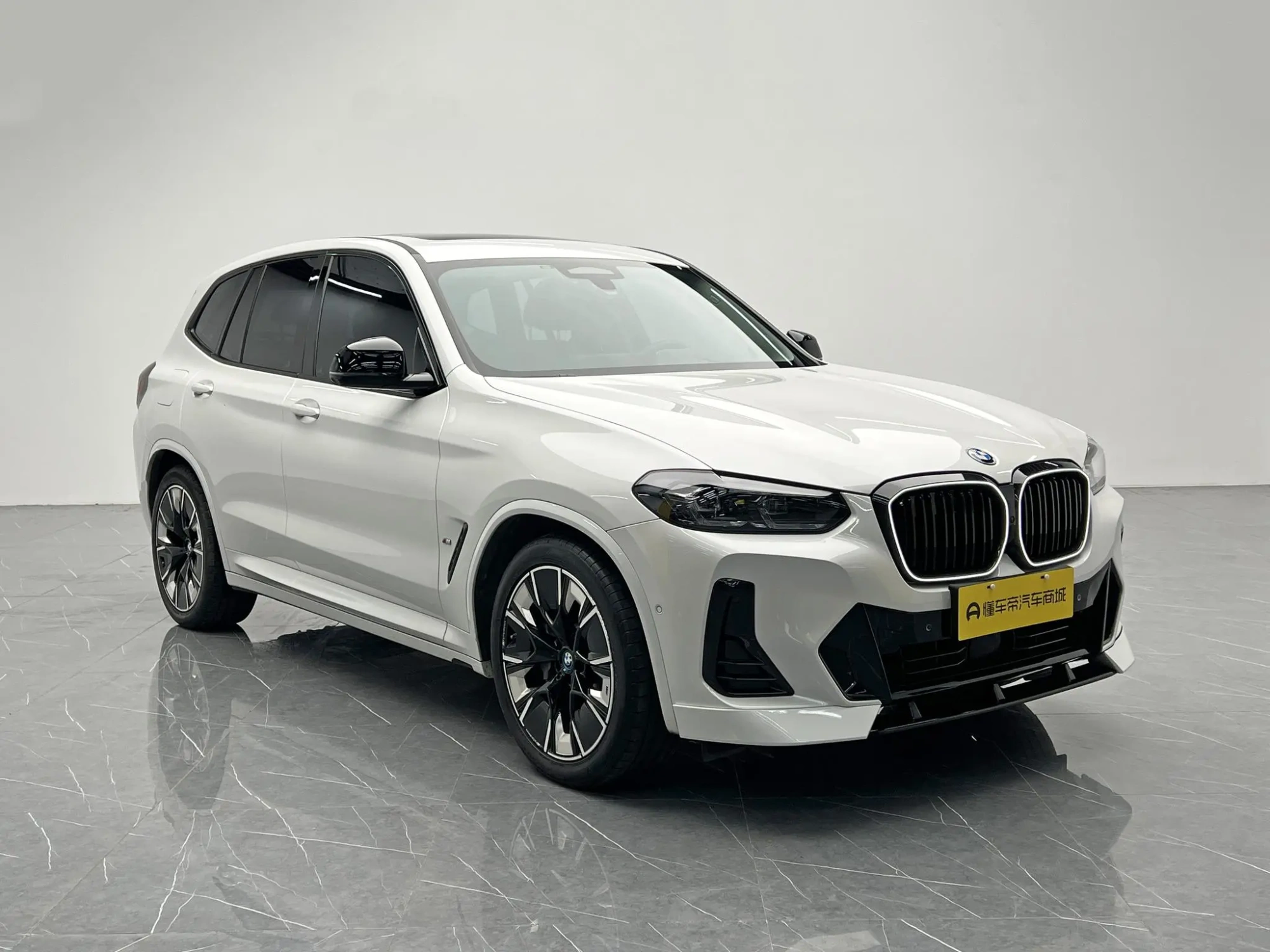 BMW BMW iX3 Creative collar type