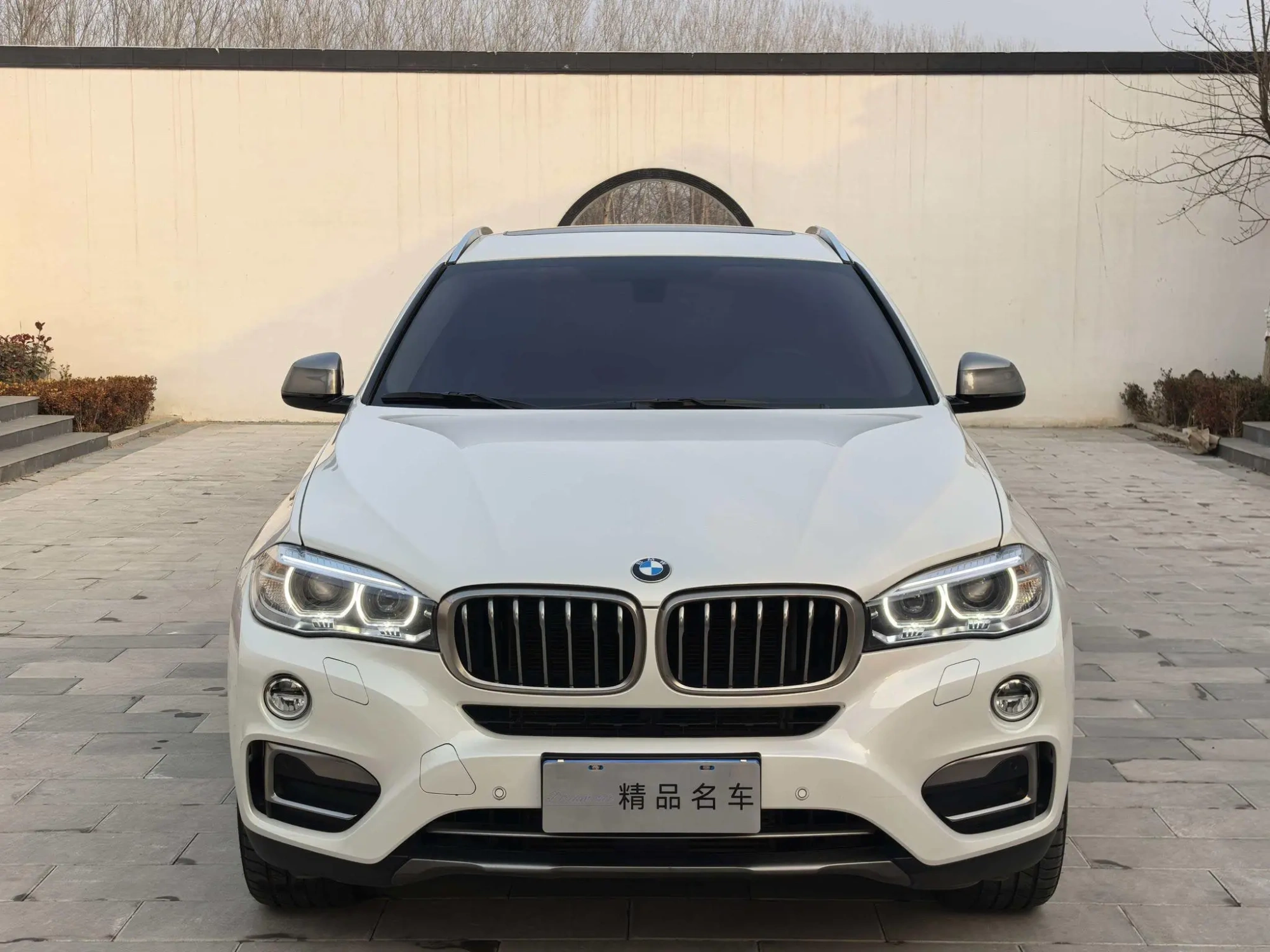 BMW BMW X6 xDrive35i leading type